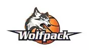 Copenhagen Wolfpack logo